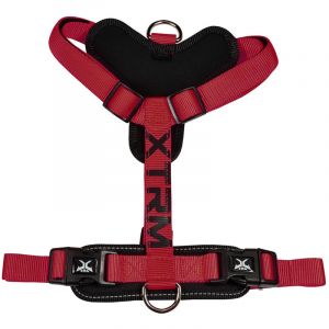 Harnais X-trm Cronos Neon Flash Rouge/noir, T-l 25 Mm X 60-100 Cm