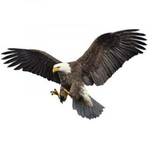 2PCS Autocollants de Voiture d'Aigle, Autocollant de Capot de Voiture &Eacute;tanche Voiture Aigle Volant Vinyle Autocollant Bricolage Sticker Universel