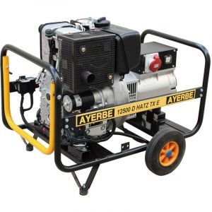 Maestro Ferretero - Groupe &eacute;lectrog&egrave;ne diesel monophas&eacute; 12,5 kVA hatz tx e 10 kVA d&eacute;marrage &eacute;lectrique 230 V