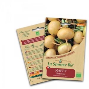 Graines Bio - Navet petrowski - Semence biologique