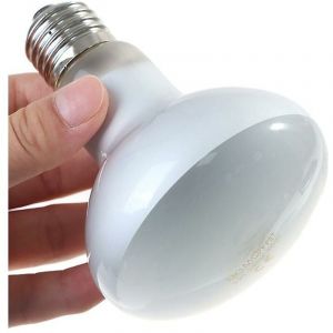 Uva + uvb Reptile Lampe Ampoule Tortue Se Prélasser Ampoules Uv Lampe Chauffante Amphibiens Lézards Contrôleur De Température - 60W