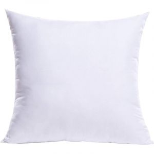 Coussin 45x45 cm-Coussins de Garnissage, Coussins Decoratifs pour Canapes, Blanc Coussin 45x45 sans Housse, Int&eacute;rieur Coussin, Rembourrage Coussin