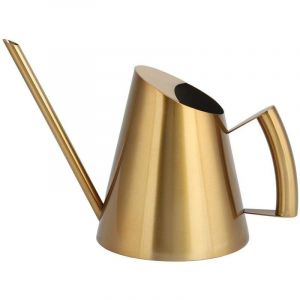 Arrosoir en m&eacute;tal int&eacute;rieur ext&eacute;rieur, Pot d'arrosage arrosage Pot d'arrosage avec Longue Bouche pour Bureau Jardin Fleurs Plantes d'int&eacute;rieur(30,5