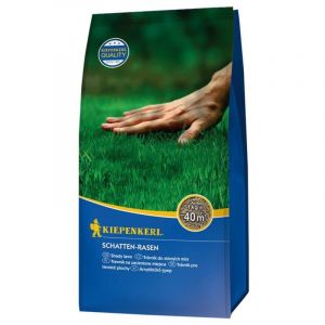 Graine gazon sp&eacute;cial zone ombrag&eacute;e 1 kg