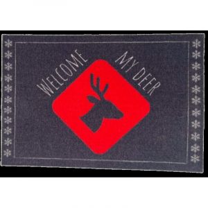 Tapis Int&eacute;rieur Anti D&eacute;rapant et Absorbant Quebec 40X60cm