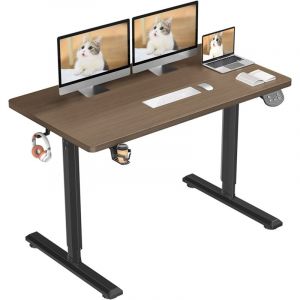 Bureau Assis Debout Electrique 110x60x71-117cm,Bureau Ergonomique Standing Desk Réglable,Panneau en Fibre de Carbone