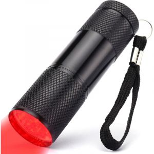 mini ultra Violet LED Lampe de poche/lumi&egrave;re noire, UV Lampe de poche LED, 395nm, Pet urine et d&eacute;tecteur de taches, trouver les taches sur les