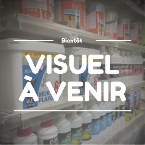 Vanne Bs Aster 8x13 Mf