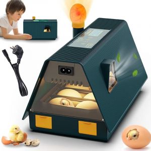 Jamais UTILISÉ]Couveuse Oeuf Automatique,Couveuse,10 Oeufs Couveuse Oeuf Automatique,Couveuse Automatique Retourneur d'oeufs automatique,Contrôle de