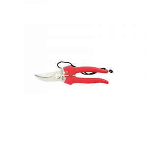 Ciseaux a' raisin Ausonia Art.35031 lame courbe'e en acier inoxydable 19 cm vigne vendanges et jardin