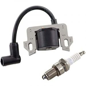 Bobine dallumage avec bougie dallumage pour Honda GCV160 GCV135 GCV190 GSV160 GSV190 GC135 GC160 GC190 GC160A GC160LA GC190A GC190LA HRB216 HRR216