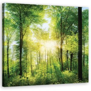 Image sur toile, Rayons de soleil For&ecirc;t Nature Spa Violet - 50x50