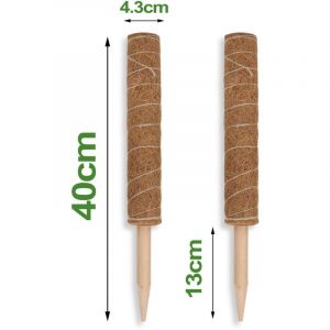 Tuteurs Coco Superposable 40cm Chacun. Poteau de avec Le Bâton de Bois Pointu pour Plantes Grimpantes Extension et Support 4X - Tolletour