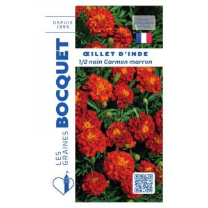 Oeillet d'Inde demi nain marron - 1,2g