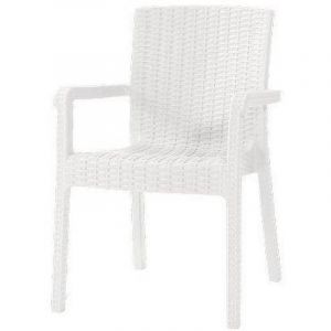 Chaise En Rotin Kreta + Accoudoirs Domus