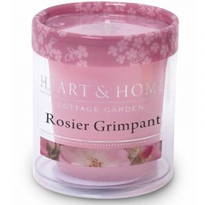 Petite bougie heart and home rosier grimpant