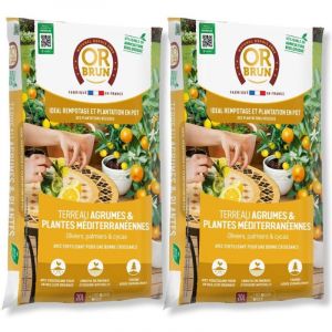 Lot de 2 Terreau OR BRUN Agrumes & Plantes M&eacute;diterran&eacute;ennes 20L - Le Secret d'une Floraison R&eacute;ussie
