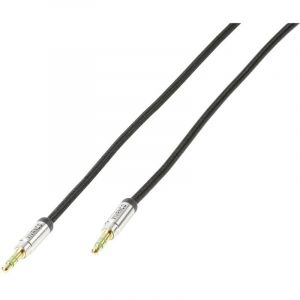 Vivanco - Câble de raccordement 38768 Jack audio [1x Jack mâle 3.5 mm - 1x Jack mâle 3.5 mm] 0.50 m noir