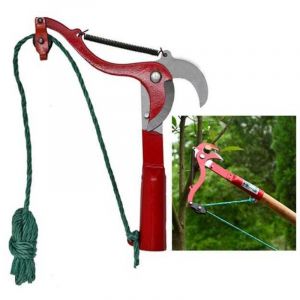 Cueille-fruits t&eacute;lescopique, s&eacute;cateur t&eacute;lescopique, &eacute;brancheur sur perche, scie d'&eacute;lagage t&eacute;lescopique, s&eacute;cateur