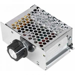 Variateur pour Moteur 220V, R&eacute;gulateur de Tension AC 4000W, R&eacute;gulateur de Vitesse pour Moteur &eacute;lectrique Variateur, Plage de Tension R&eacute;glable de 10v