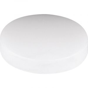 2510.0600 Lentille opale Adapté pour (led) réflecteur 40 mm Q10378 - Mentor