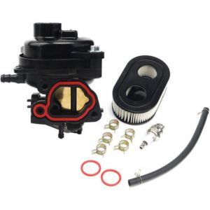Carburateur pour Briggs & Stratton 550EX 625EX 675EX 675IS 725EXI 09P702 9P702 OHV Moteur 163 cc Remplace 799584 594058