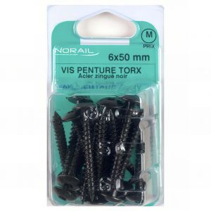 Blister de 25 vis penture Torx 6 x 50 mm - Zingu&eacute; Noir - VPX0605006CP25