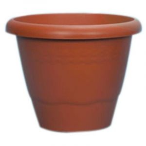 Pot De Gardénia En Terre Cuite - 60 Cm