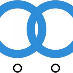 Shining House - Set de 4 joints de valve de chasse d'eau en silicone kit de joints de valve de chasse d'eau pour cuves de toilettes