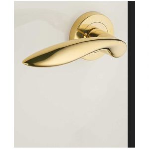 Ensemble de Poign&eacute;es sur Rosaces en Laiton - DCG - Mod&egrave;le Salicorne - Laiton Poli