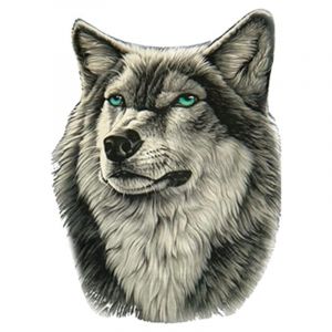 Ccykxa - Autocollants Voiture, 4pcs Loup Stickers Autocollants Voiture Personnalisé Autocollant De Capot Voiture Loup Stickers Autocollants Stickers