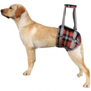Harnais de Soutien pour Chiens R&eacute;glable Harnais pour Chien Handicap&eacute; pour Les Jambes Arri&egrave;re, Maille Harnais Levage avec Poign&eacute;e pour l'Aide Canine