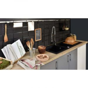 CAREA - &Eacute;vier s&eacute;chant &Eacute;OLE 1 giga-bac Noir