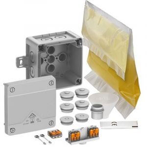 Spelsberg Abox Pro Xt Slk-2,5² - Ip68 - Boîte De Jonction Avec Résine Moulée Et Connecteurs De Câbles - Boîtier Électrique Avec