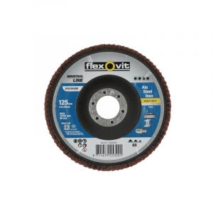 Flexovit - Disque &agrave; lamelles industrial line heavy duty - &oslash; 125 mm - Grain 80
