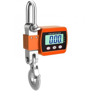 Balance &agrave; grue num&eacute;rique 500 kg/1 100 lb &ndash; Balance suspendue robuste avec &eacute;cran LCD, fonction tare/maintien, unit&eacute;s multiples (kg/lb/N)