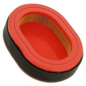 Filtre &agrave; air moteur tondeuse Mc Culloch RV150 - 577616016 Filtre &agrave; huile ou air pour moteur thermique