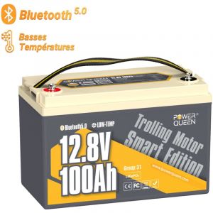 Batterie lithium 12V100Ah 1280Wh LiFePO4 Groupe31 Power Queen Bluetooth, protection à basse température, pour bateau,moteur hors-bord électrique,