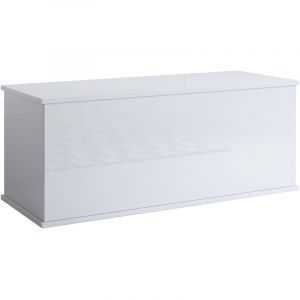 Coffre de Rangement int&eacute;rieur Banc de Rangement 100x40x40cm Mod&egrave;le ARIEL Blanc Finition Brillante