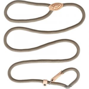 Laisse Dressage et Collier, Réfléchissante, Coulissante, Lasso en Nylon 150cm pour Chiens Petits et Moyens - Beige