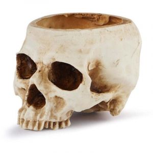 Pot de Fleurs T&ecirc;te de Mort en R&eacute;sine Vase T&ecirc;te de Mort Mod&egrave;le de T&ecirc;te en R&eacute;sine pour Halloween F&ecirc;te, D&eacute;corations d'Int&eacute;rieur