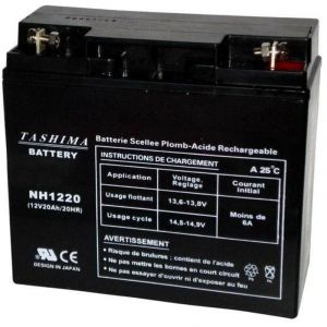 Tashima - Batterie tracteur tondeuse universelle 12V 20 Ah - NH1220