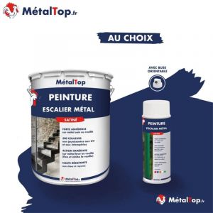 Peinture Escalier Metal - 0.4 L - Bombe 400 mL - 7011 - Gris fer - Metaltop