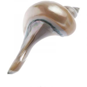 Joe Sayegh - coquillage - Repose-Couteau en Nacre - 9.5cm - Fait Main - Pièce Unique - Style Bord de Mer - Élégant et Naturel