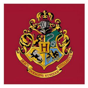 Tapis Carré Harry Potter Logo Poudlard - 80 x 80 cm