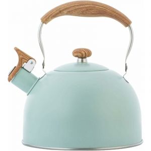 Dpzo - Bouilloire Sifflante, 2.5L Bouilloire Sifflante Induction Gaz Bouilloire En Acier Inoxydable Bouilloire Théière Sifflante Bouilloire a Sifflet