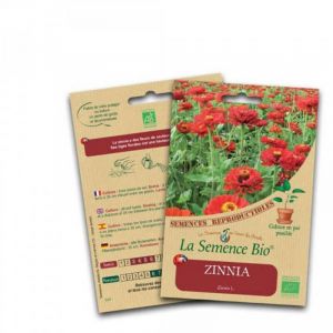 Graines Bio - Zinnia - Semence biologique
