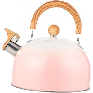 Sifflet Bouilloire Poêle Bouilloire Théières Pour Cuisinière Bouilloire à Thé En Acier Inoxydable Bouilloire à Gaz Théière Sifflante Bouilloire à Eau