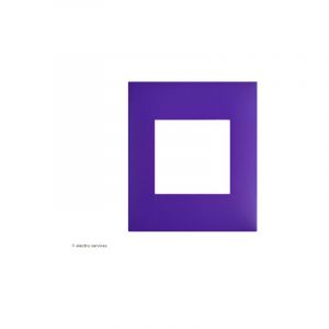 Plaque 1 poste Espace Evolution Arnould Finition: Pourpre