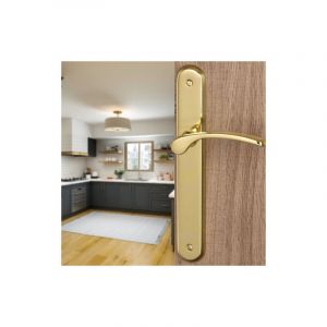 Ouvre&Deco &ndash; Poign&eacute;e de porte d'entr&eacute;e EVA &ndash; 2 poign&eacute;es en laiton poli &ndash; Entraxe 195 mm &ndash; Fonction bec de cane sans trou de serrure &ndash; Vernis PROTEC